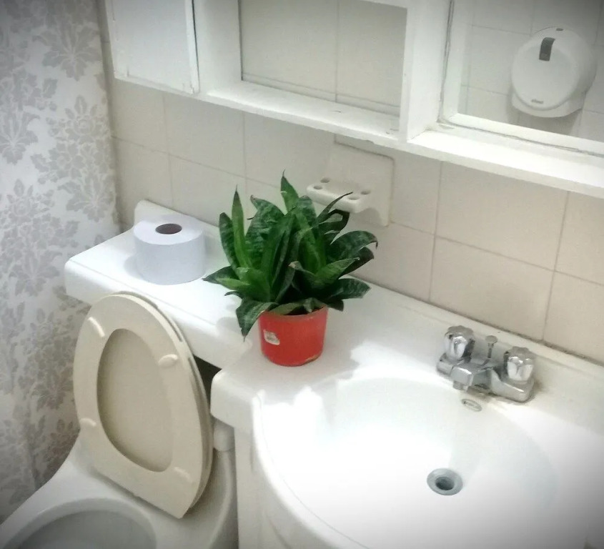 Hostal Garden House