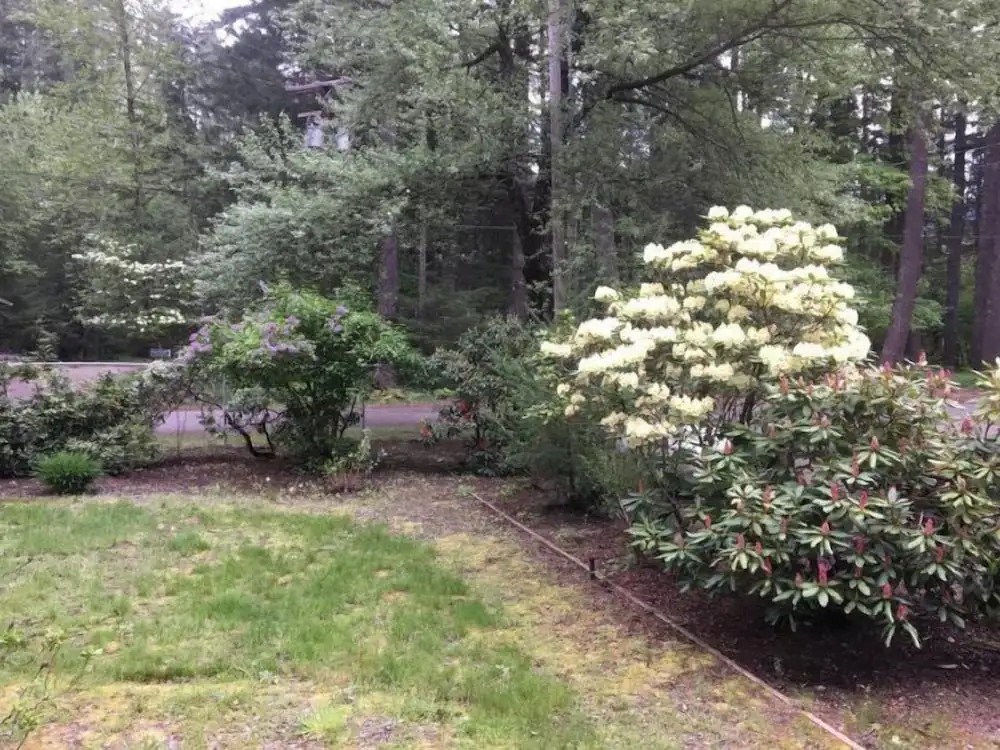Hopes Cabin
