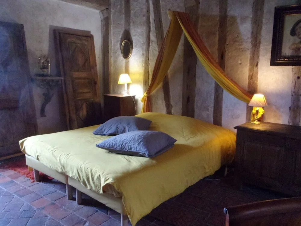 Chateau de Chémery