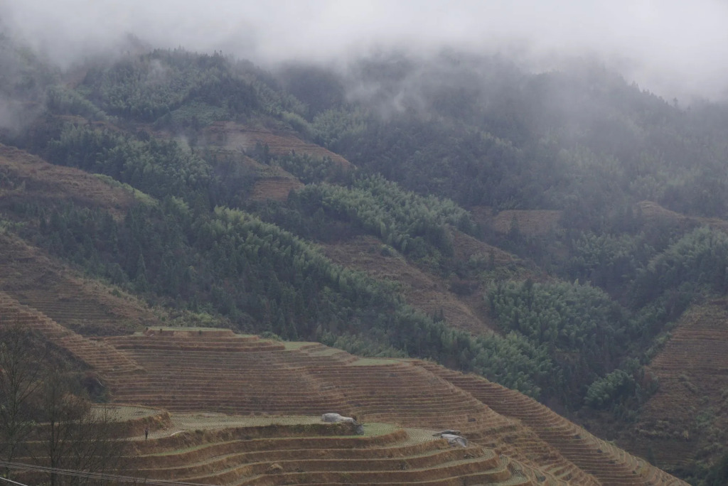 Tianranju Inn Longsheng