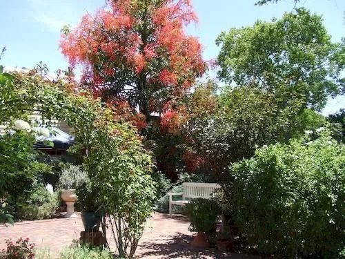 83 on Swan B&B
