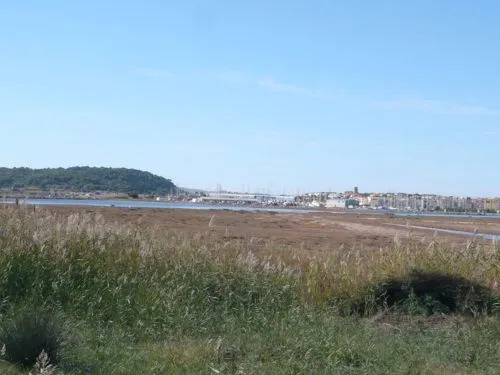 Les Logis du Languedoc 29258