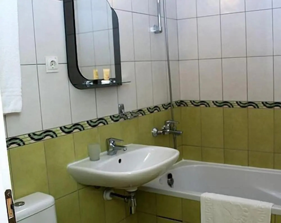 Отель Видэнь