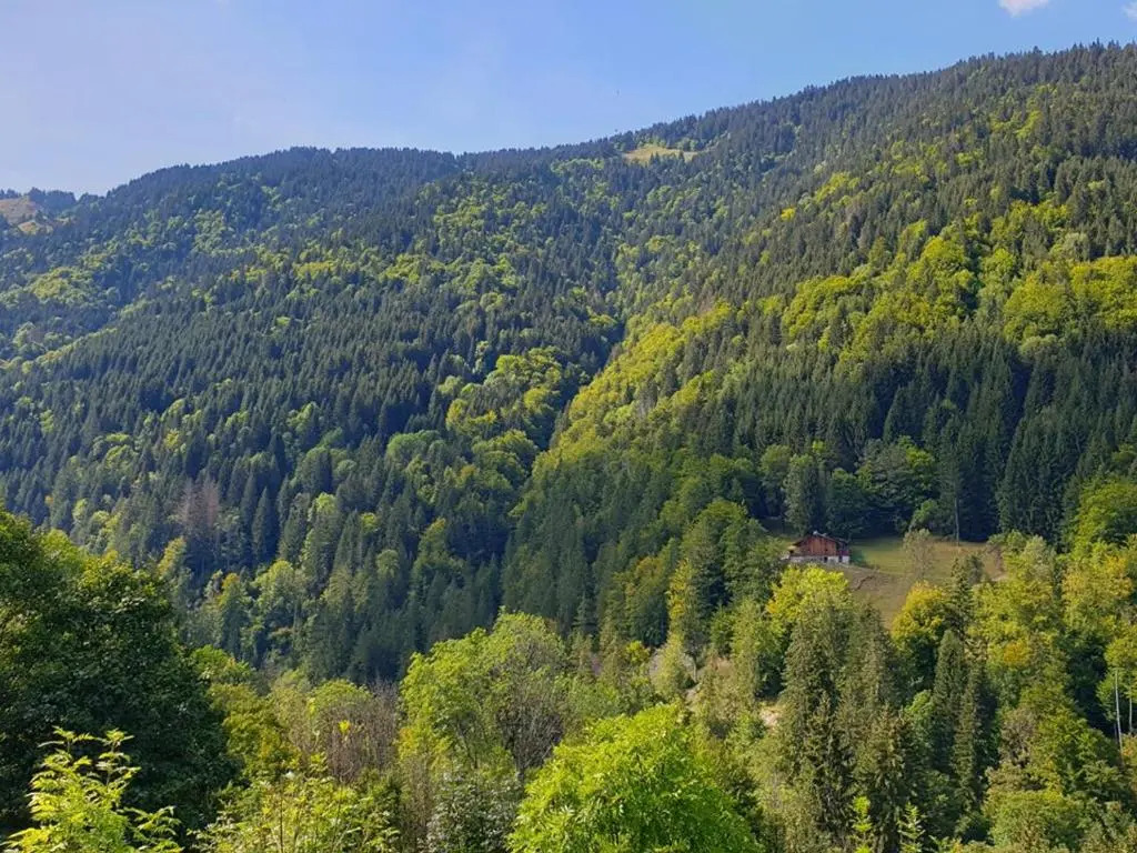 Appartement Saint-Jean-d'Aulps, 1 pièce, 4 personnes - FR-1-573-44