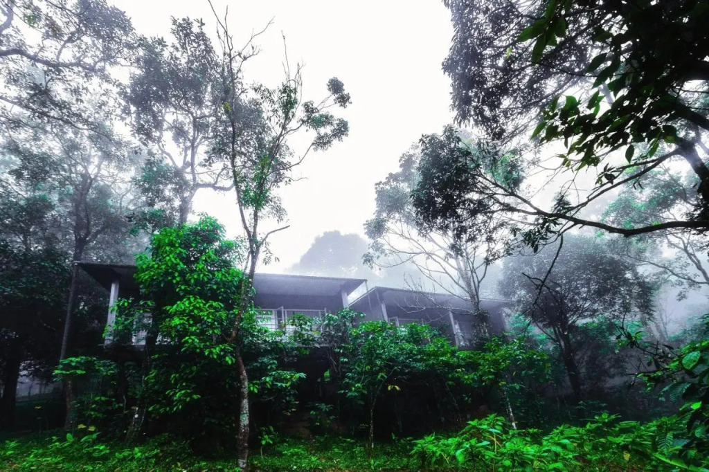 Wayanad Wild - A CGH Earth Experience