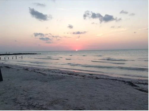 Elements Holbox