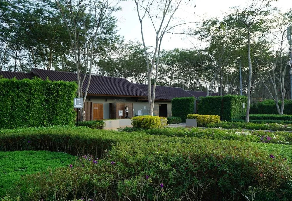 Singha Park Chiang Rai Camping