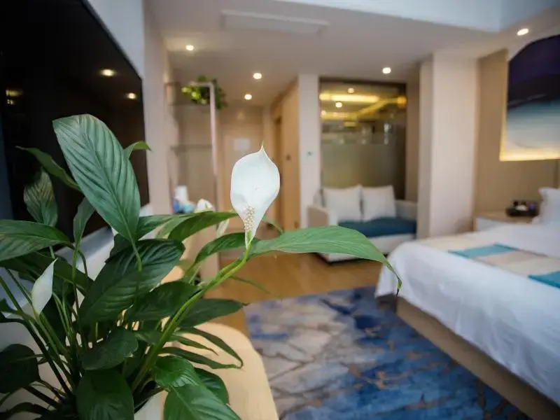 VX Heze Dingtao District Taoyi Road Hotel