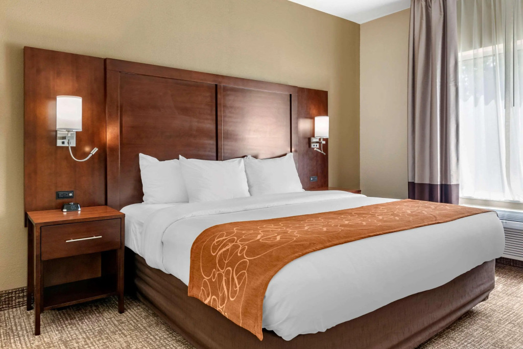 Comfort Suites Auburn near I-69