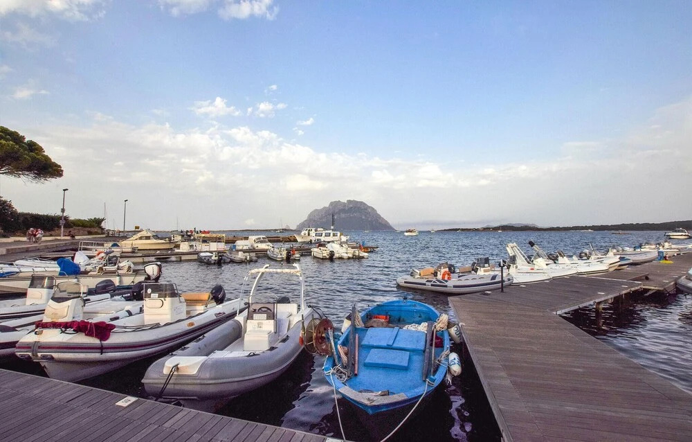 Pet Friendly Apartment In Porto San Paolo