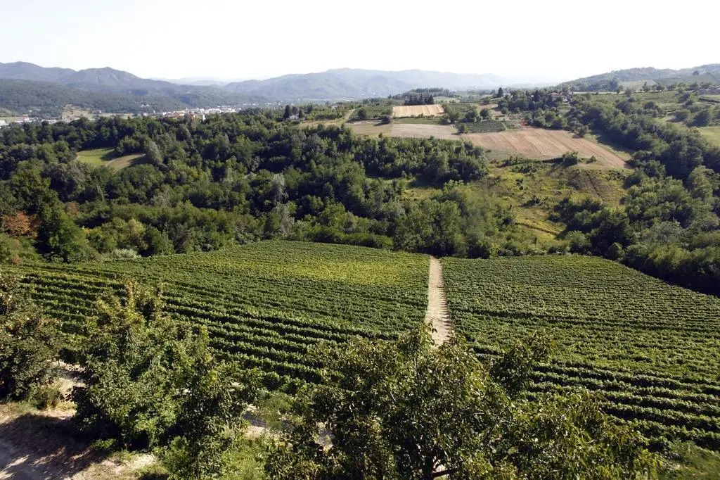 Castello di Grillano Guest House