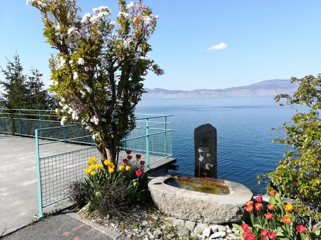 Hotel Le Léman