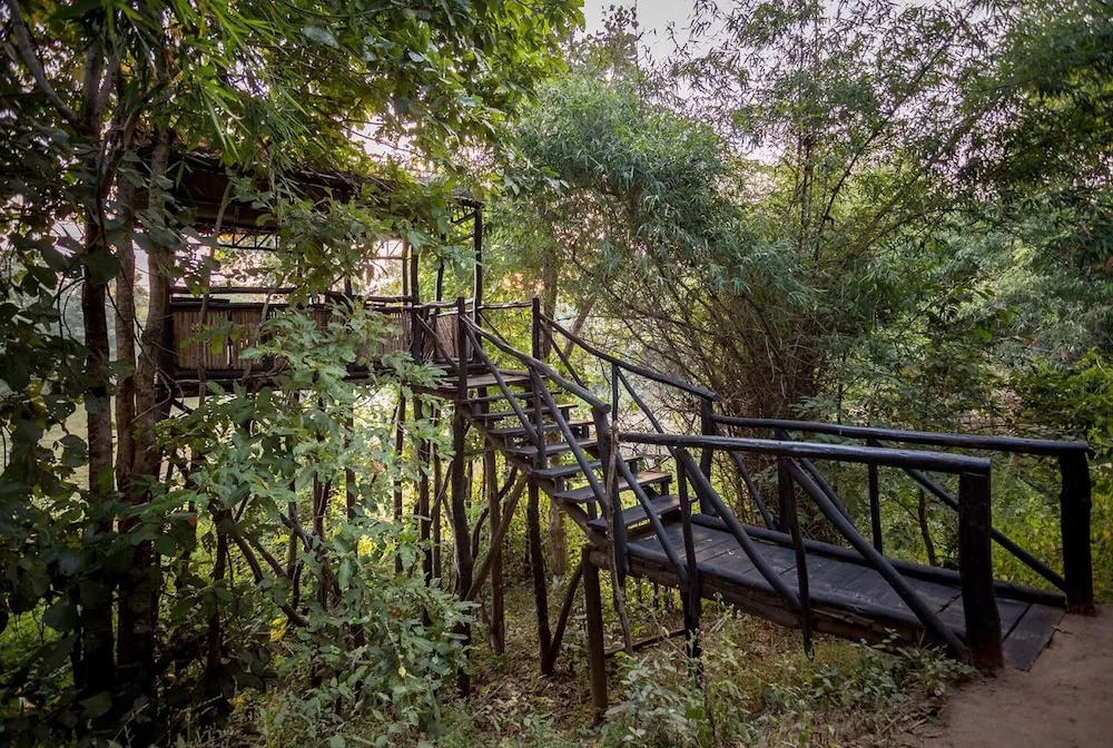 Pugdundee Safaris- Tree House Hideaway