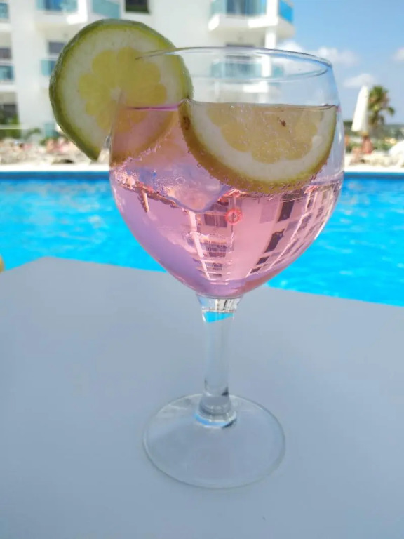Aparthotel Nereida