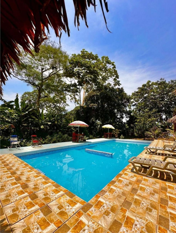 Jungle Explorer Lodge