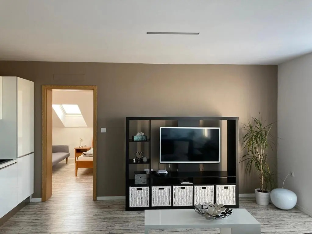 Apartment Husova