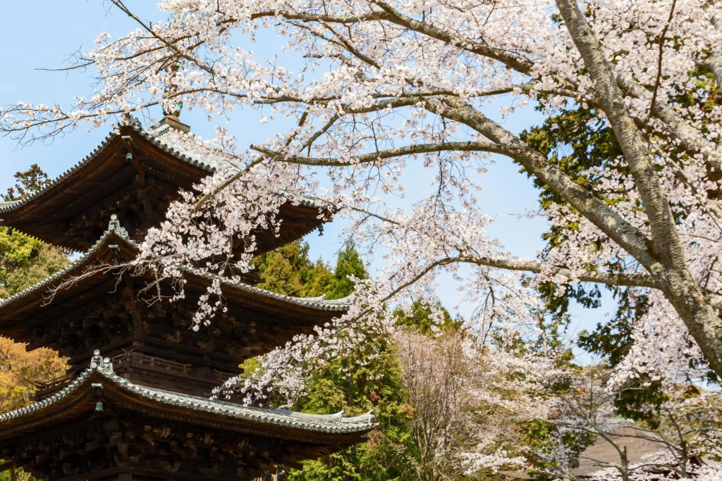 Miidera Onjo-ji