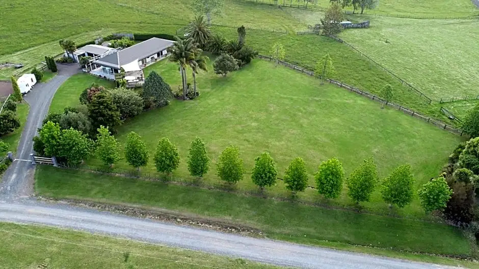 Rural Palms