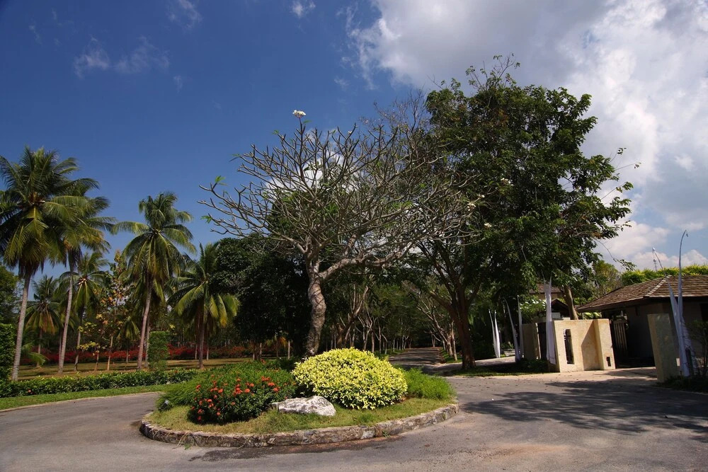 The Tamarind