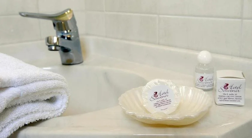 Hotel Souvenir
