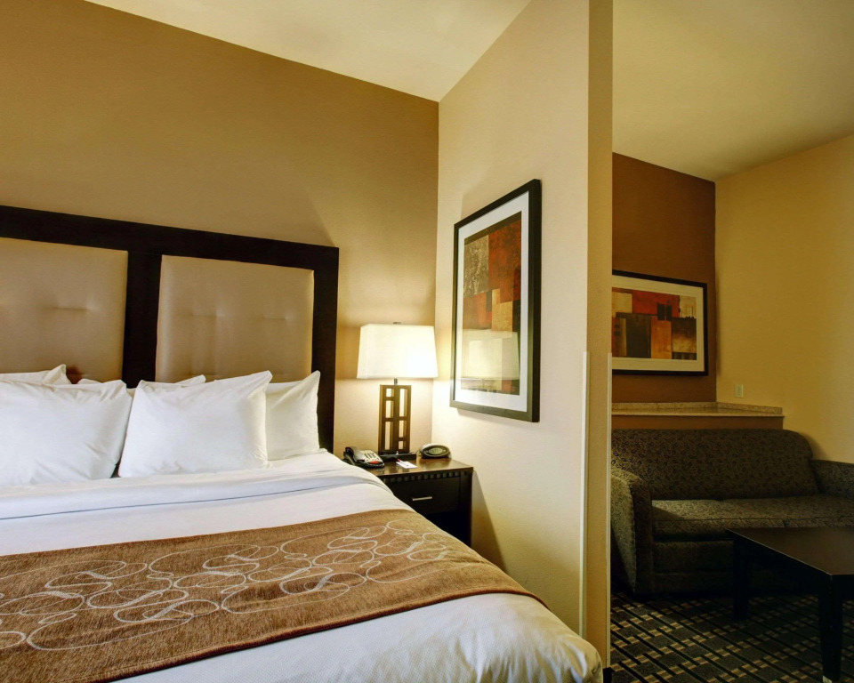 Comfort Suites Buda - Austin South