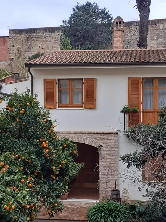L'arancio Antico