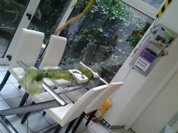 pinkhomecologne-guesthouse