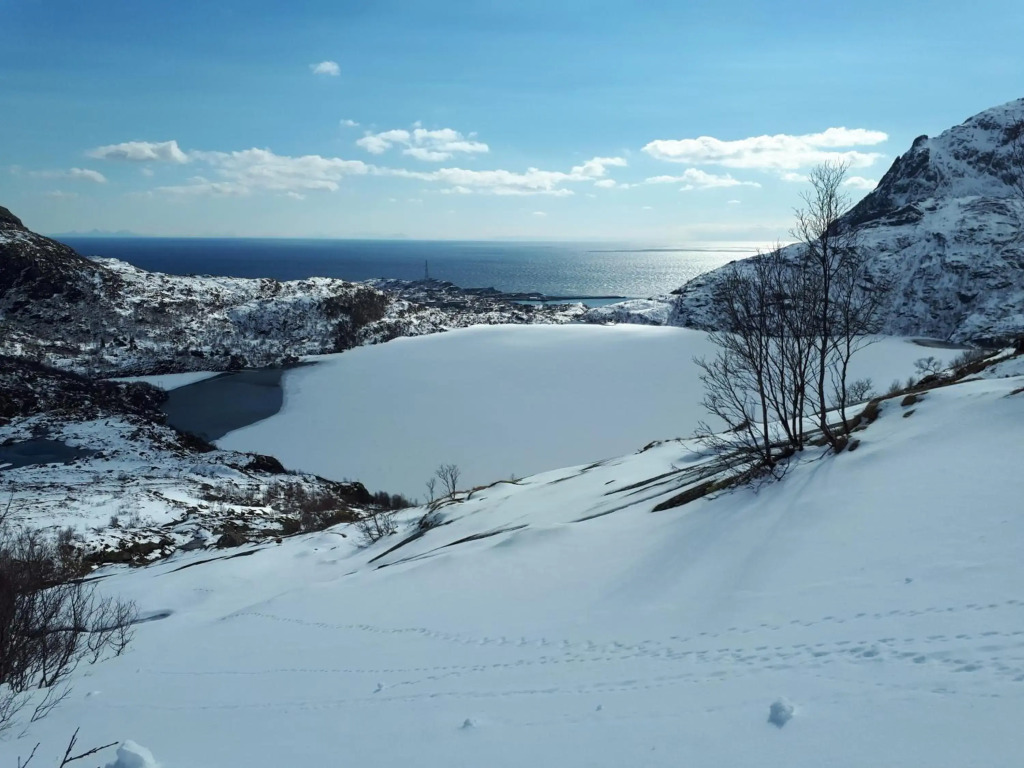 Sjøhaug Rorbu