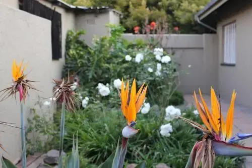 Safari Manor