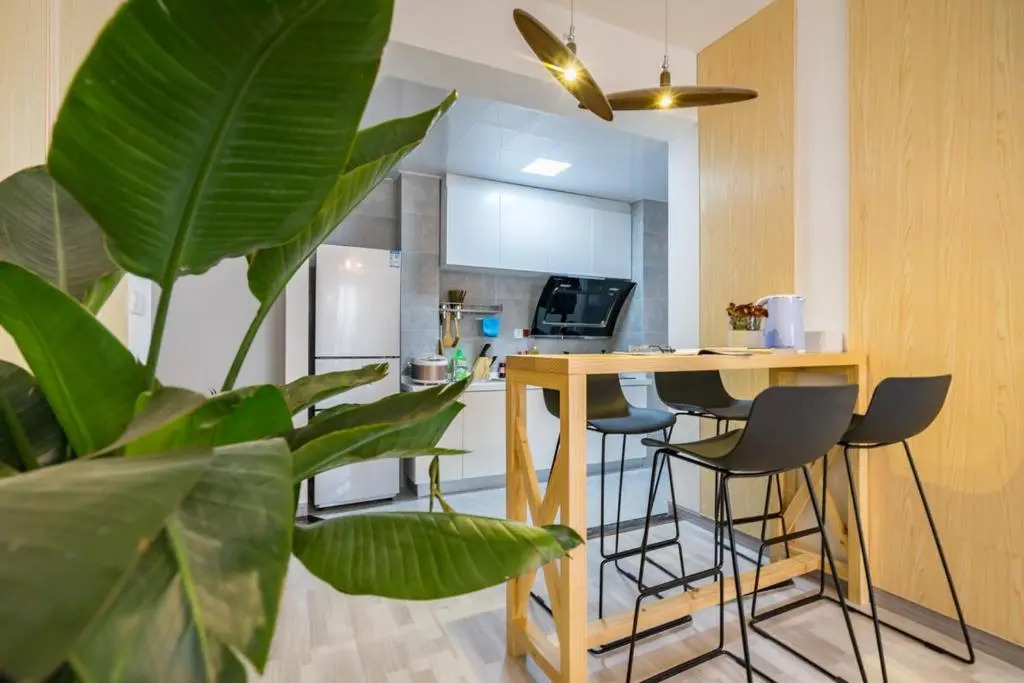 Chongqing Jiangbei·Guanyinqiao· Locals Apartment 00139090
