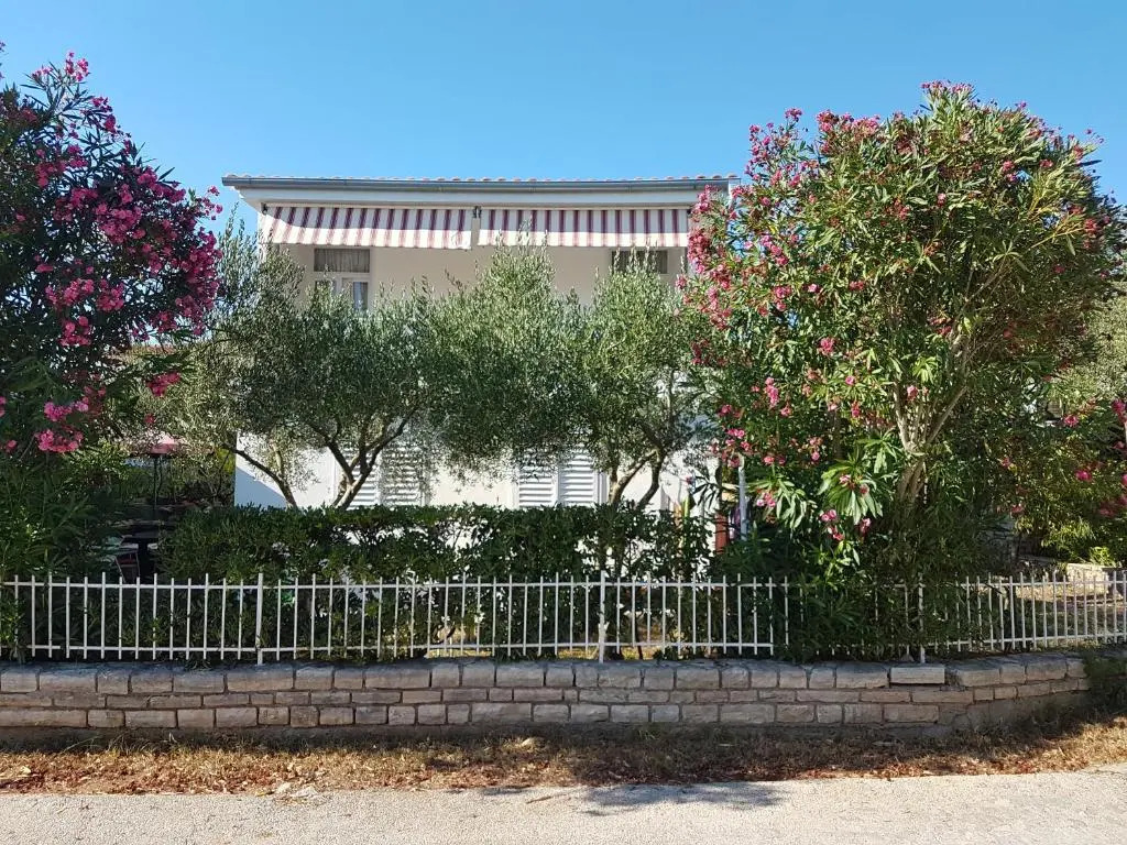 Apartman Roko