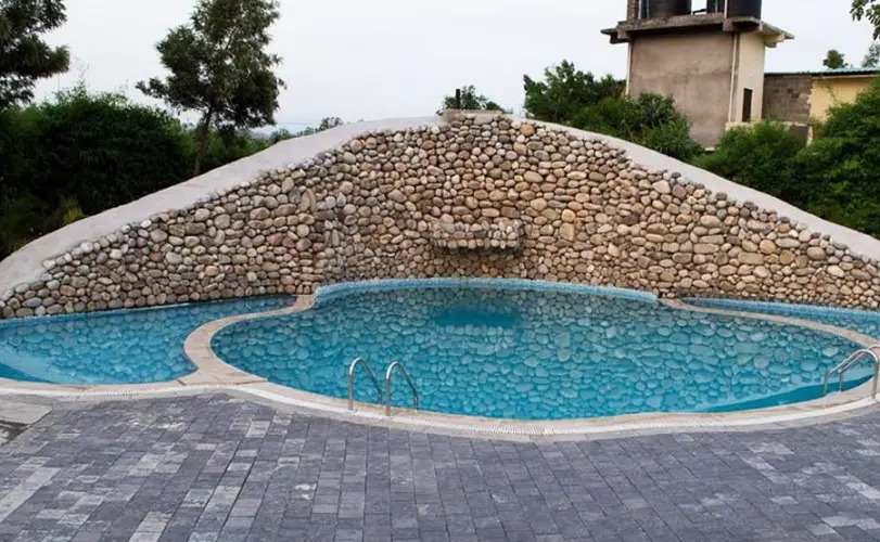 The Roar Resort