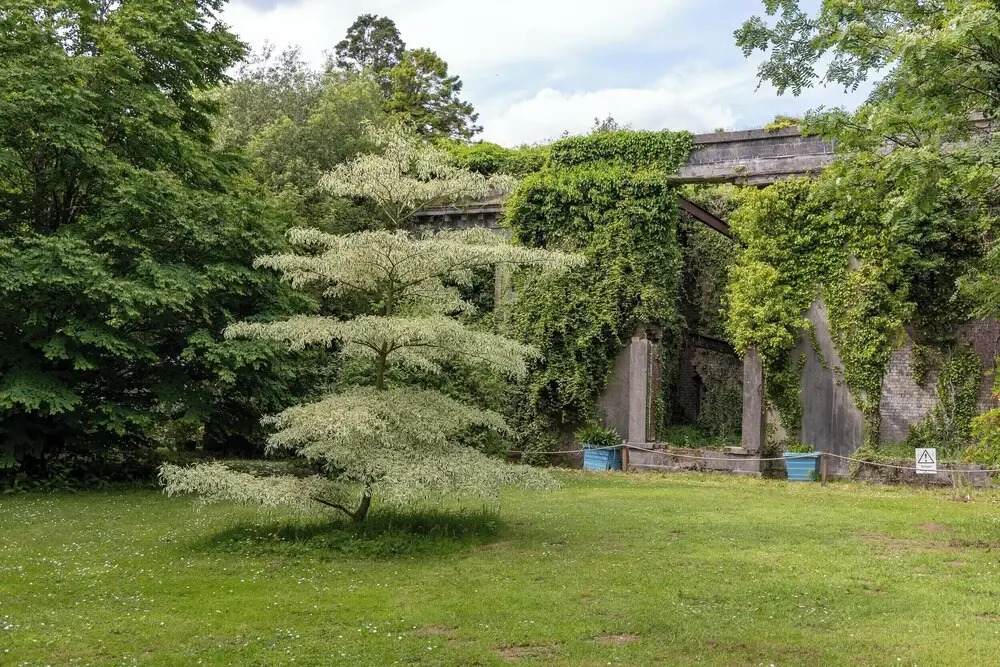 The Old Carriage Court