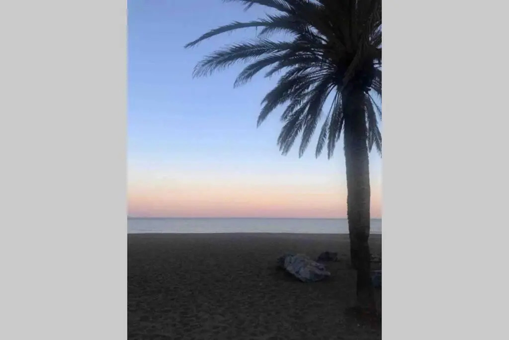 Apartment in 1st line beach