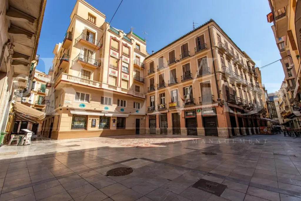 Glamorous flat in the heart of Málaga