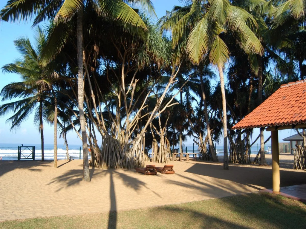 Hibiscus Beach Hotel & Villas - 10 percent off on all Food & Beverages