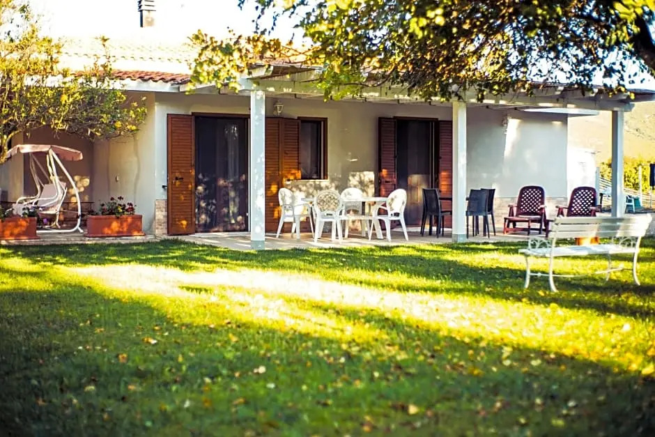 The Vineyards
