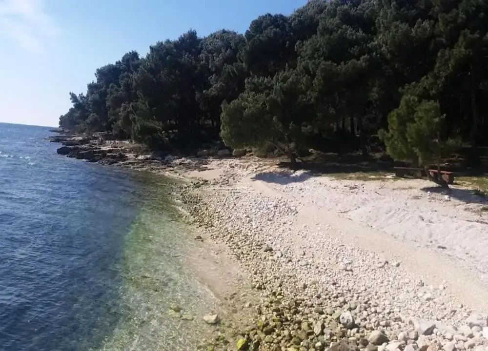 Apartment in Banjole, 200m From the Beach