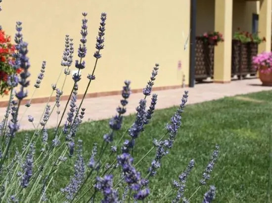 Podere Tre Cipressi