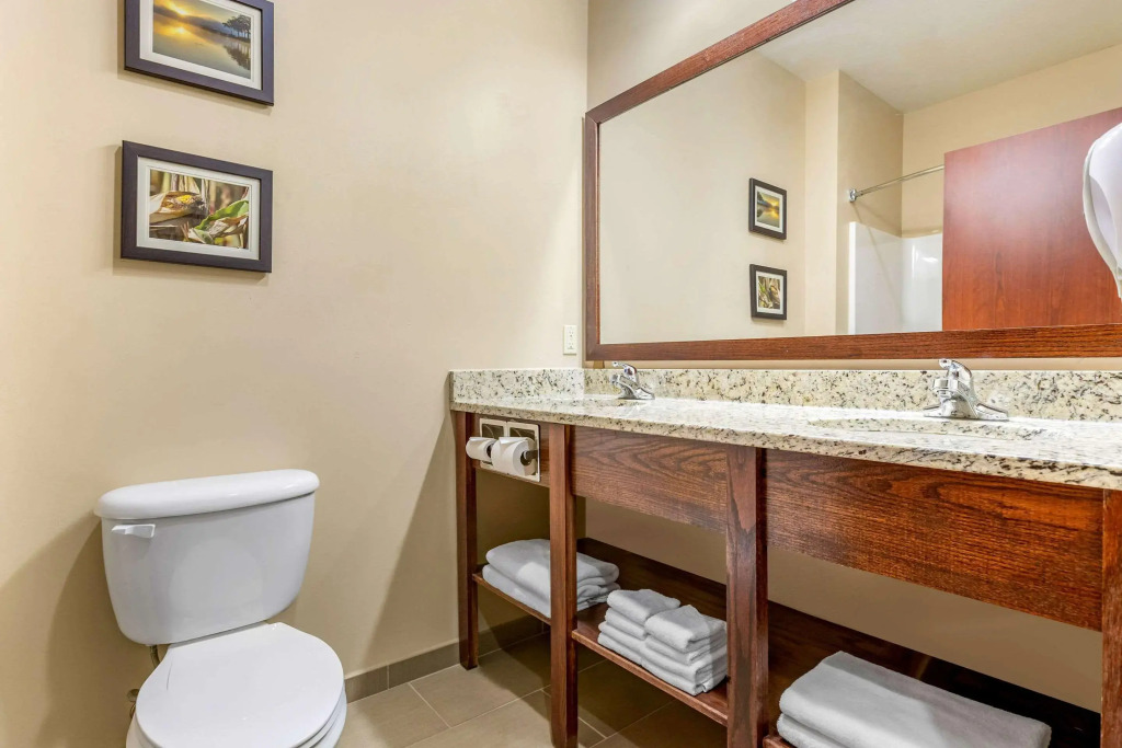 Comfort Inn & Suites Davenport - Quad Cities