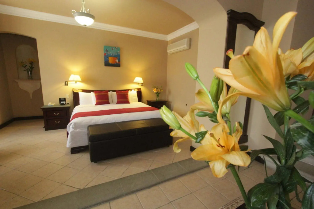 Hotel De La Parra
