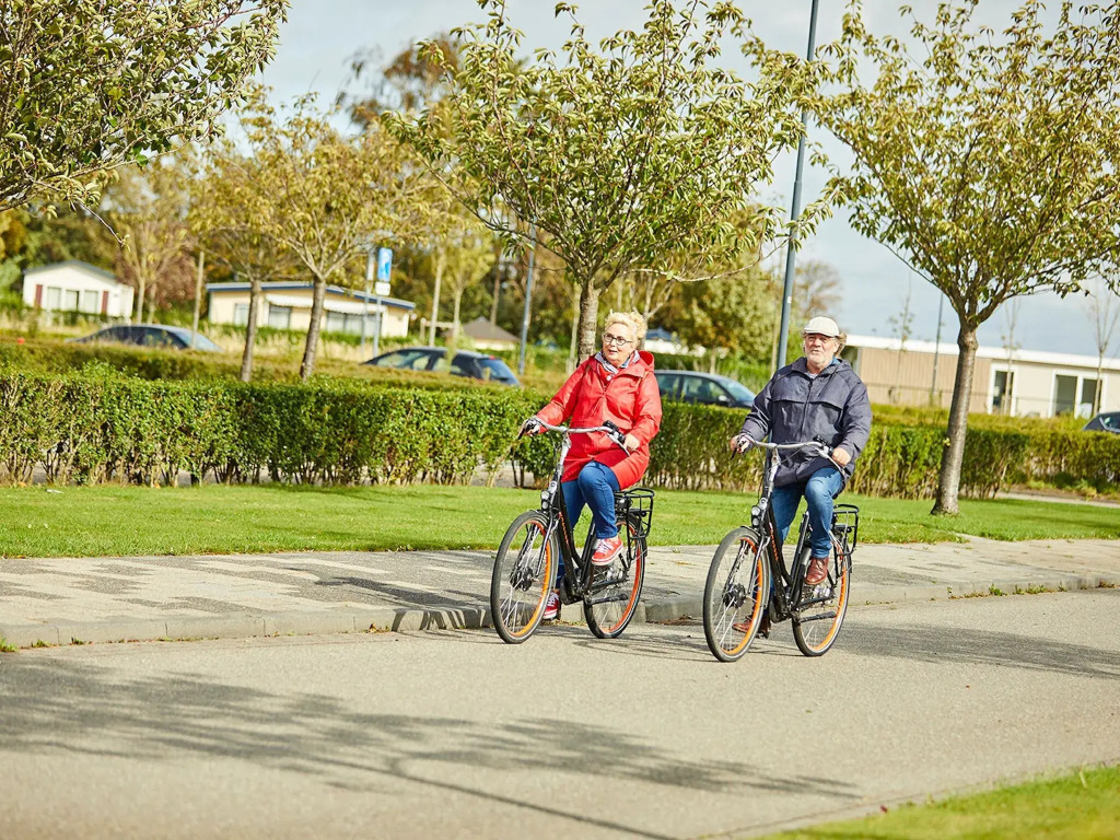 Group Accommodation in Zeeland with Garden