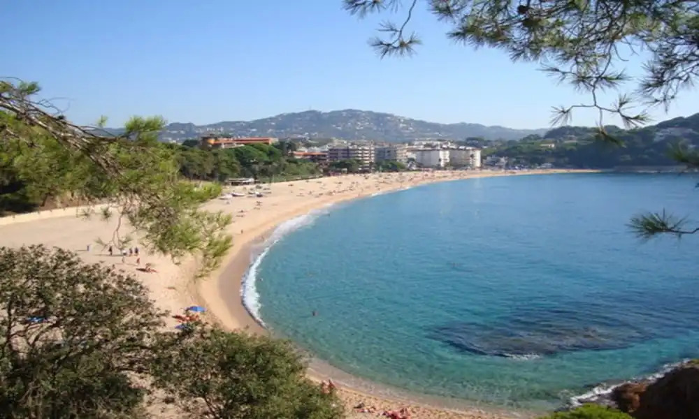 104655 -  Apartment in Lloret de Mar