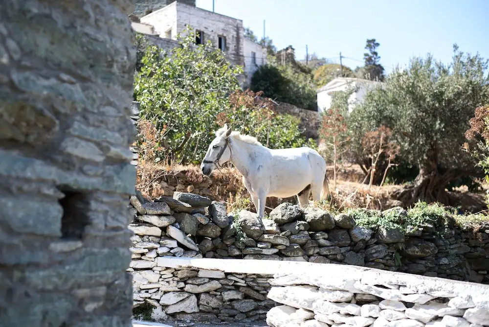 Andros Maisonettes