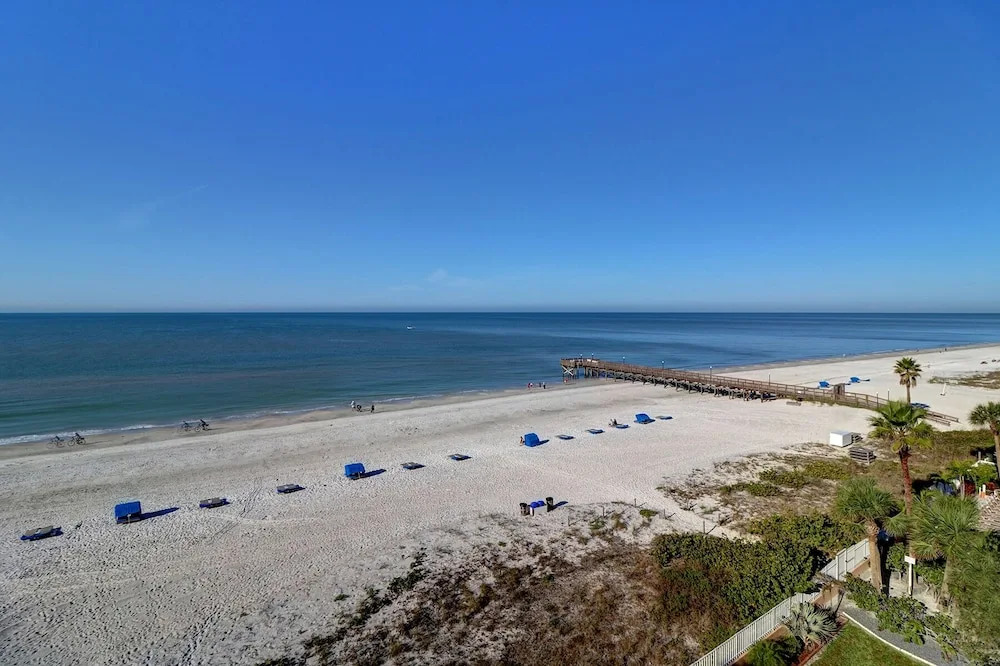 Beach Palms 504