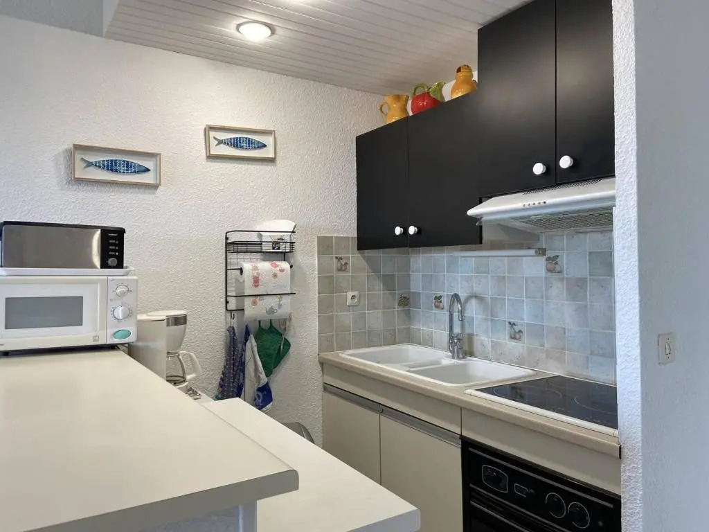 Appartement Cap d'Agde, 2 pièces, 6 personnes - FR-1-249-149