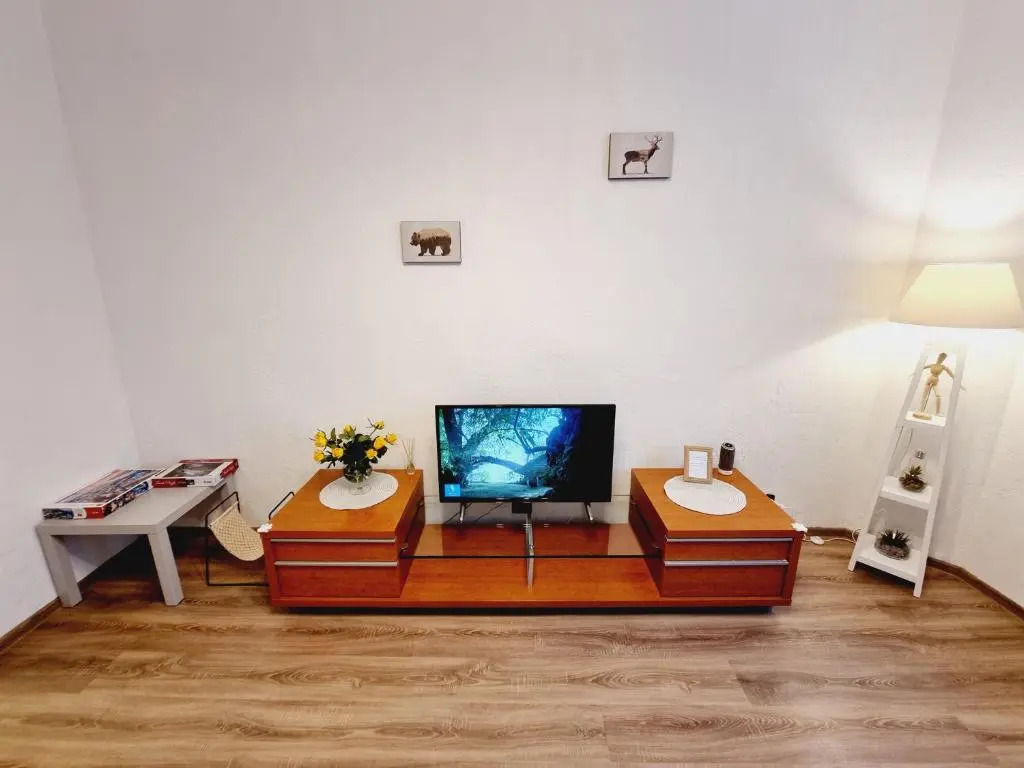 V311 Apartment