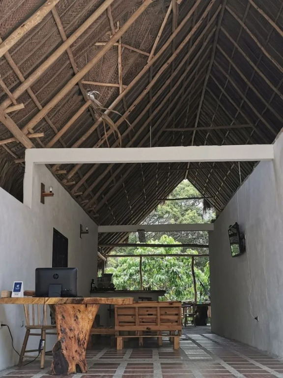 Hostal Dream House