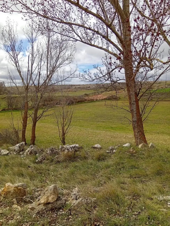Los Quiñones