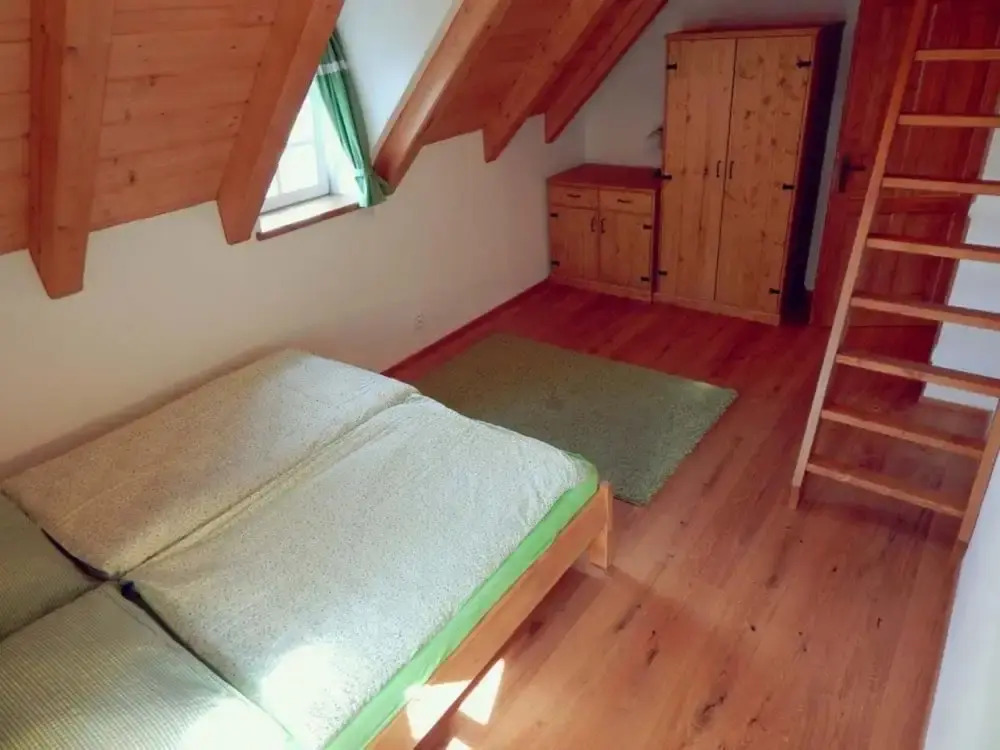 Villa Near Horni Domky Ski Resort